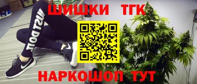 тгк Будённовск